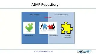 SAP BASIS COURSE: Lec 17. ABAP Repository Objects.