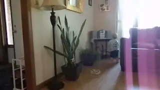 Harris stopping to have a little dance