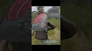 DAYZ прибежал а тут киндер сюрприз #shorts #dayzmoments #dayzstandalone