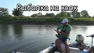 at what moment to hook a catfish? fishing with a kwok on the river, and a bite of a large catfish
