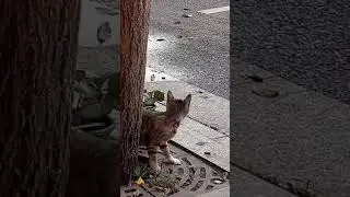 😅😆😆