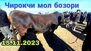 Чирокчи мол бозори нархлари 15.11.2023