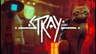 Играем в Stray
