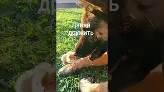 Моёхозяйство #лето дружба