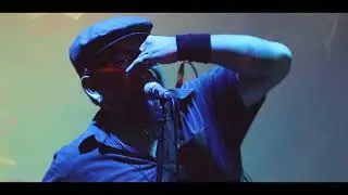 SUSY Q - LOS YORKS XXI - 2018