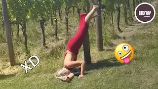 SI TE RÍES PIERDES NIVEL DIOS #33 🤣 VIDEOS DE RISA 😂 HUMOR VIRAL DE TODO