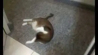 嗯....人家不要進去嘛~~~