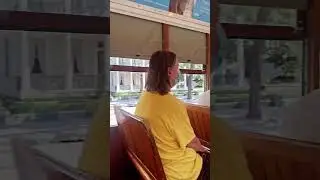 The New Orleans Street Car is a historic and convenient way to get around town