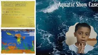 Aquatic Show Box/Aquatic Show Case/School Students Project.
