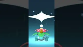 Mega venusaur evolution Pokemon go 