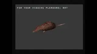 Horizontally spinning rat (and Maxwell) on the PS1