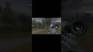 идеальный выстрел #games #сталкер #shooter