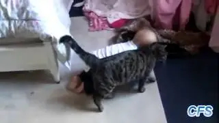 Коты и дети! Мега ПОЗИТИВ!