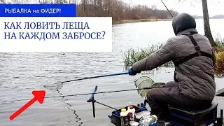 ОСЕННИЙ КЛЁВ РЫБЫ 2021! Ловля ЛЕЩА на ФИДЕР! Рыбалка на фидер в НОЯБРЕ!