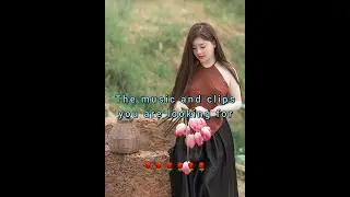 Nice music and clips🌹🌹🌹#shortsyoutube #shortsvideo #music #clips