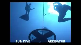 Mergulho Livre sem nadadeiras -36 m por Carol Schrappe, record brasileiro