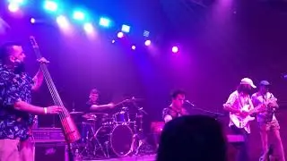 Will Wood and the Tapeworms - House of Independents, Asbury Park NJ 8/1/19