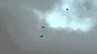 с.г.