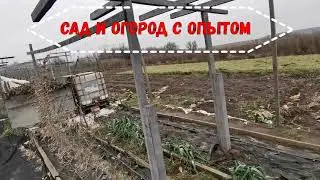 ЛУЧШАЯ ШПАЛЕРА ДЛЯ ТОМАТОВ ДЛЯ СУПЕР УРОЖАЯ