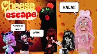 NAGLARO KAMI NG CHEESE ESCAPE SA ROBLOX || TAGALOG || KOHARU DYNASTY