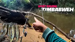 ketika umpan kucur turun gunung bikin betah mancing baung disini | Anum Fisher™