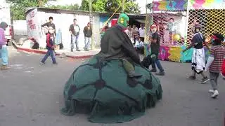 La tortuga en la feria de Tenango 2019