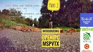 Introducing OpenIPC MSPVTX