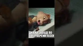 бурундучим #shorts #мем #мемы