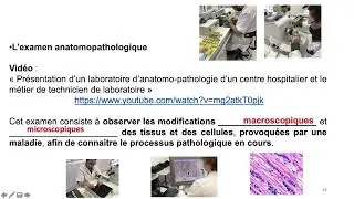 Vidéo 4 sur le chapitre 8.3. le cancer, conséquence des mutations génétiques