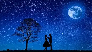 Bryan Adams ( Everything I Do ) I Do It For You |Honey Love | D Music Gallery