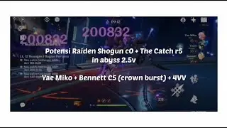 Raiden Shogun C0 | The Catch R5 | 200k DMG | Abyss 2.5v | Genshin Impact