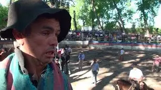EL TATA VIAGRA Personaje  en Domaduras de Chile   EN MEDIALUNA DE PELARCO
