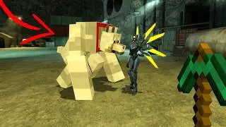 Half Life 2 Mods are Insane