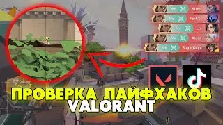 ПРОВЕРКА ЛАЙФХАКОВ ИЗ ТИКТОКА В ВАЛОРАНТ!!! ПРОТИВНИКИ ТАКОГО ТОЧНО НЕ ОЖИДАЮТ
