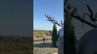 Журавли, Мучкап #тамбовскаяобласть, #район, #память