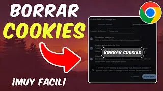 How to delete Google Chrome cookies on my computer