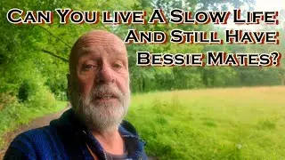 Can You Live a Slow Life, And Still Have Bessie Mates?