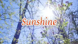 POLITYPE 『Sunshine』（Lyric Video）