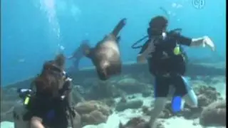 Kid Guides in Spanish in Curacao