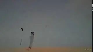 2021 01 09 brant