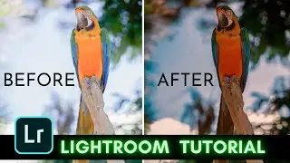 #3 || Lightroom Photo Editing Tutorial || Picasso Editz ||