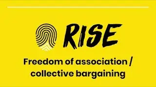 Part 6: Freedom of Association / Collective Bargaining