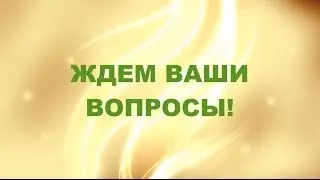 ЖДЕМ ВОПРОСЫ ОТ ВАС
