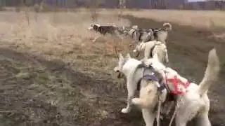 тренировка Лайткиперс или веселые приключения