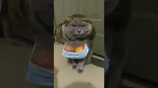это любовь 😂❤ 