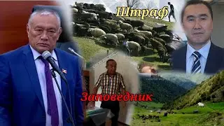ЗАПОВЕДНИК Элди Кысымга алып|Депутат КИРИШТИ |Азатык|😱Учкоргон/Майдан,Чаувай Валакыш,Кадамжай