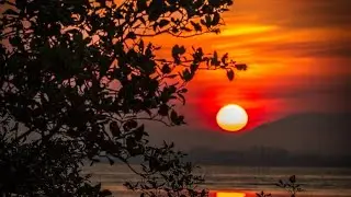 видео Природа! Очень разнообразна своими принципами. Если вы ещё не ели наливайте чаёк. #видео #love