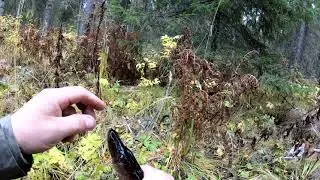 With a new spinning rod on a new taiga river.