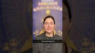 Последствия гнева | Йоги за мир
