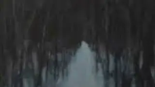 Nocturne No.2